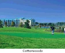 Cottonwoods
