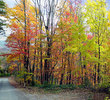 Gatlinburg Fall