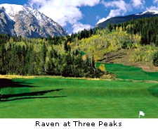 Raven at Threee Peaks