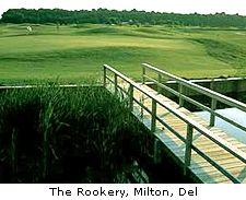 The Rookery
