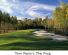 The Frog