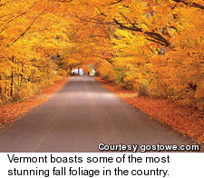 Vermont Fall