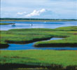 Sanctuary Cove - Golden Isles of coastal Georgia