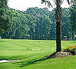 Golden Bear Golf Club