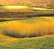 Grande Dunes