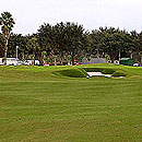 Grande Pines