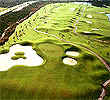 LPGA International