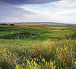 The Links