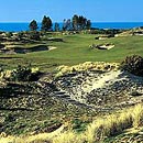 Pacific Dunes