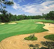 Pine Barrens