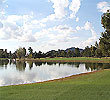 The Pine Course