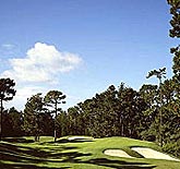 Poppy Hills