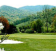 Waynesville